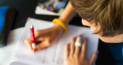 Rush-my-essays.com: Custom Essay Writing Service of Top Quality With Low Prices The author will subsequently undertake
